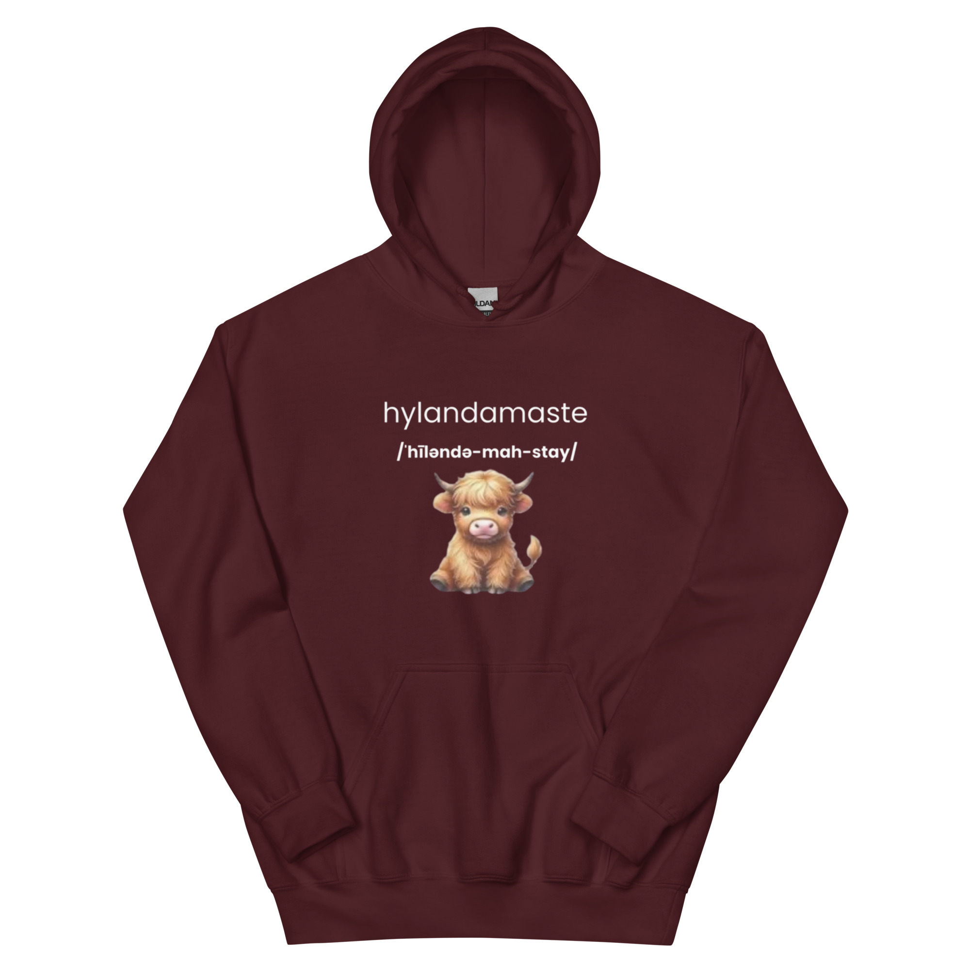 Hylanamaste Yoga Inspired Namaste Unisex Hoodie - Image 3