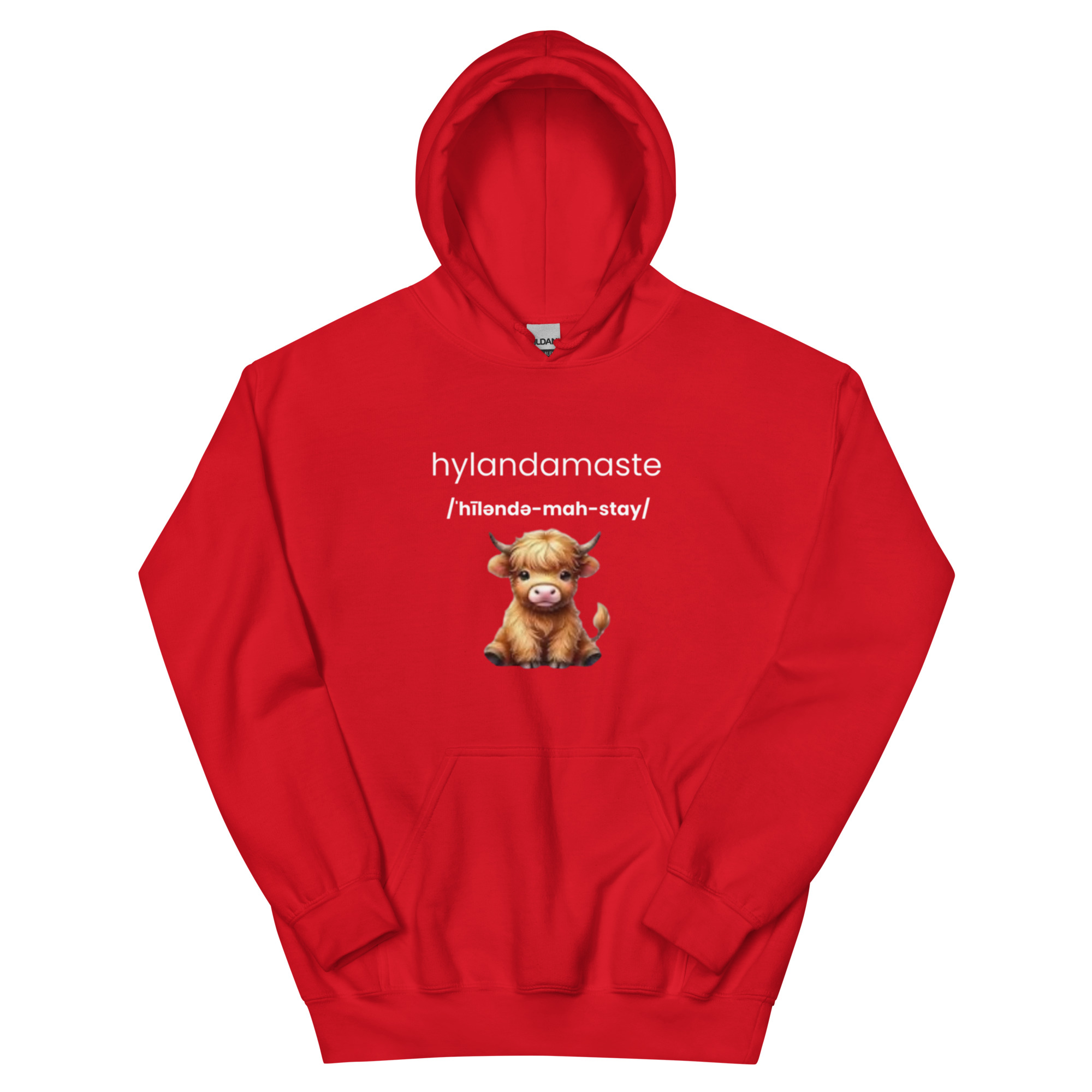 Hylanamaste Yoga Inspired Namaste Unisex Hoodie - Image 7