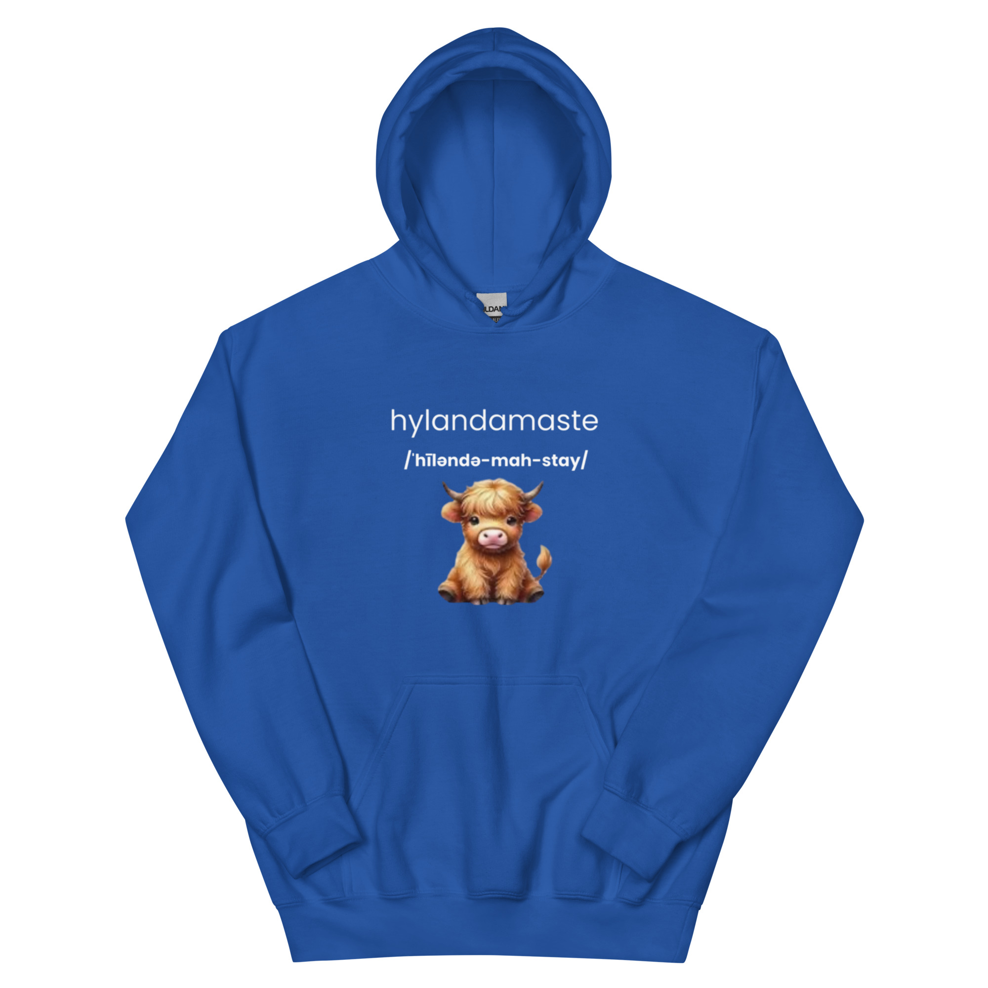 Hylanamaste Yoga Inspired Namaste Unisex Hoodie - Image 9